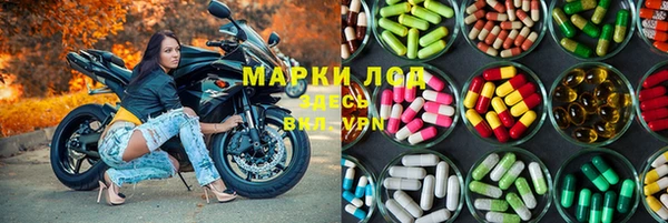 mdpv Вяземский