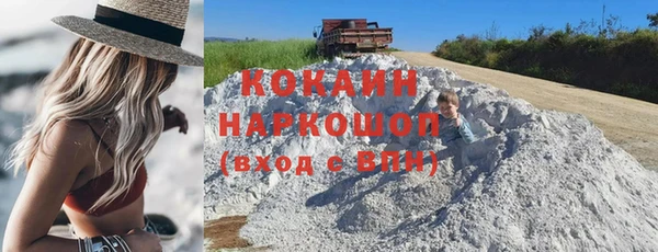 mdpv Вяземский