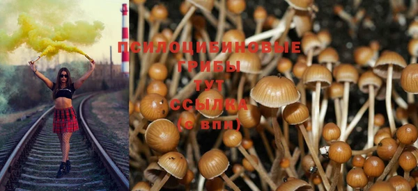 ешки Вязники