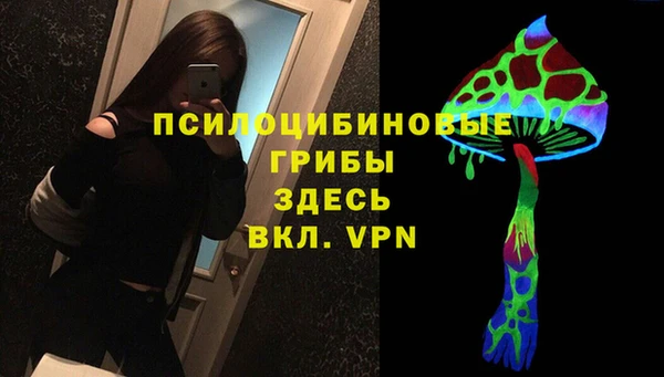 mdpv Вяземский