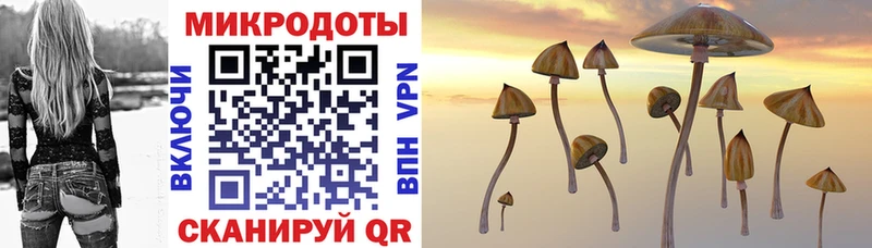 Галлюциногенные грибы Psilocybe  Находка 